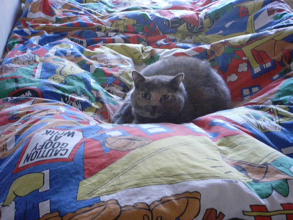 08.mis