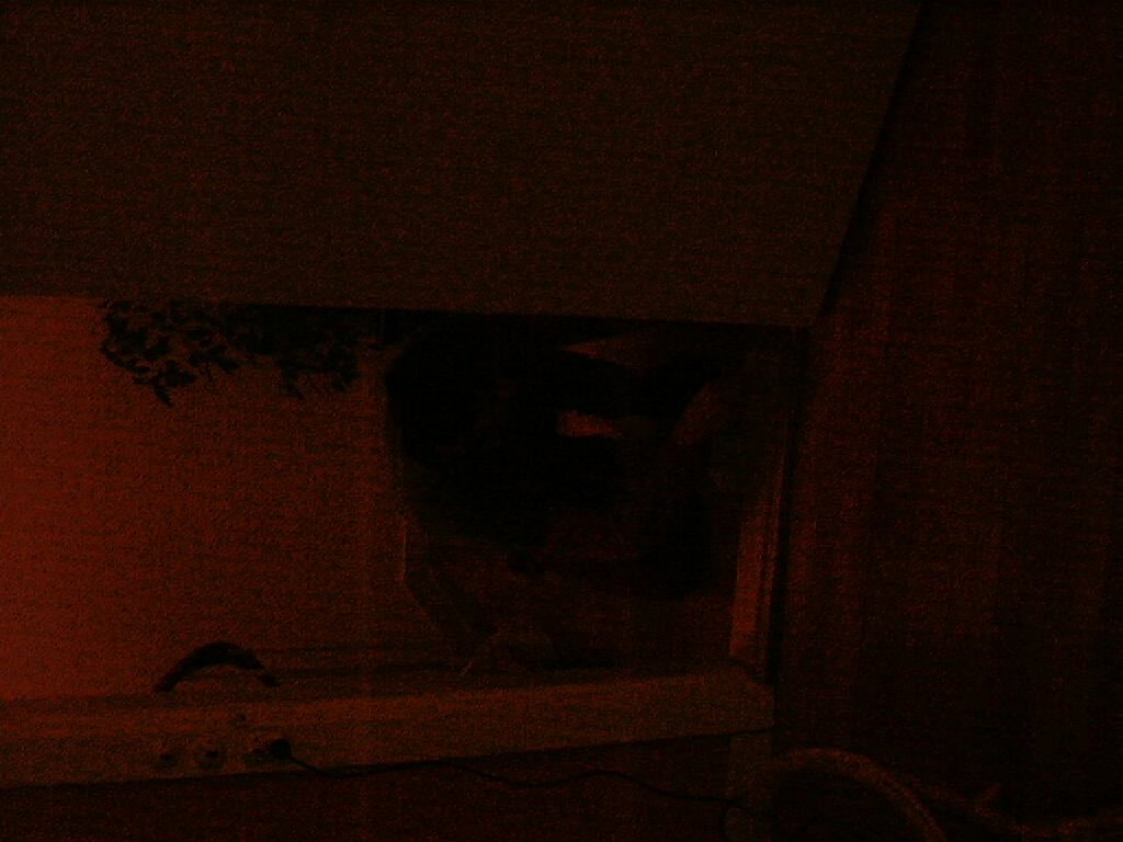 CLTW000027