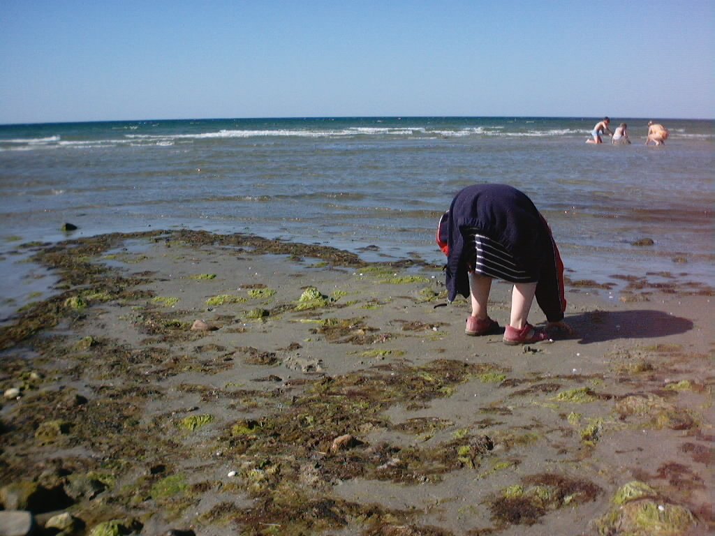PICT0047