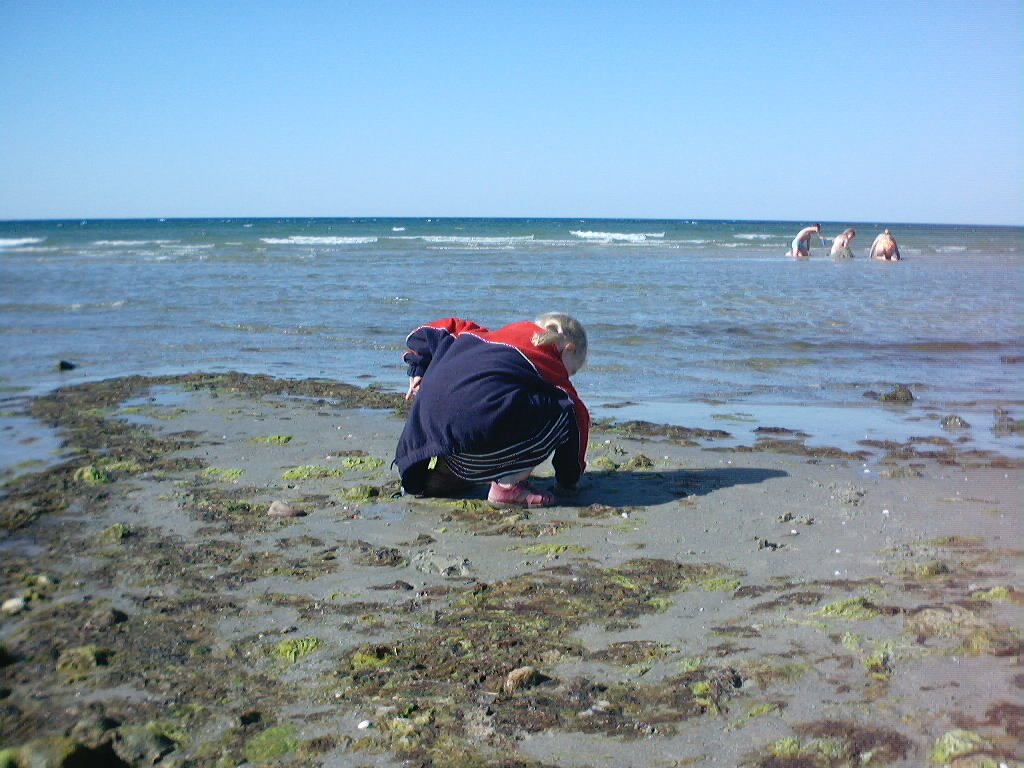 PICT0049