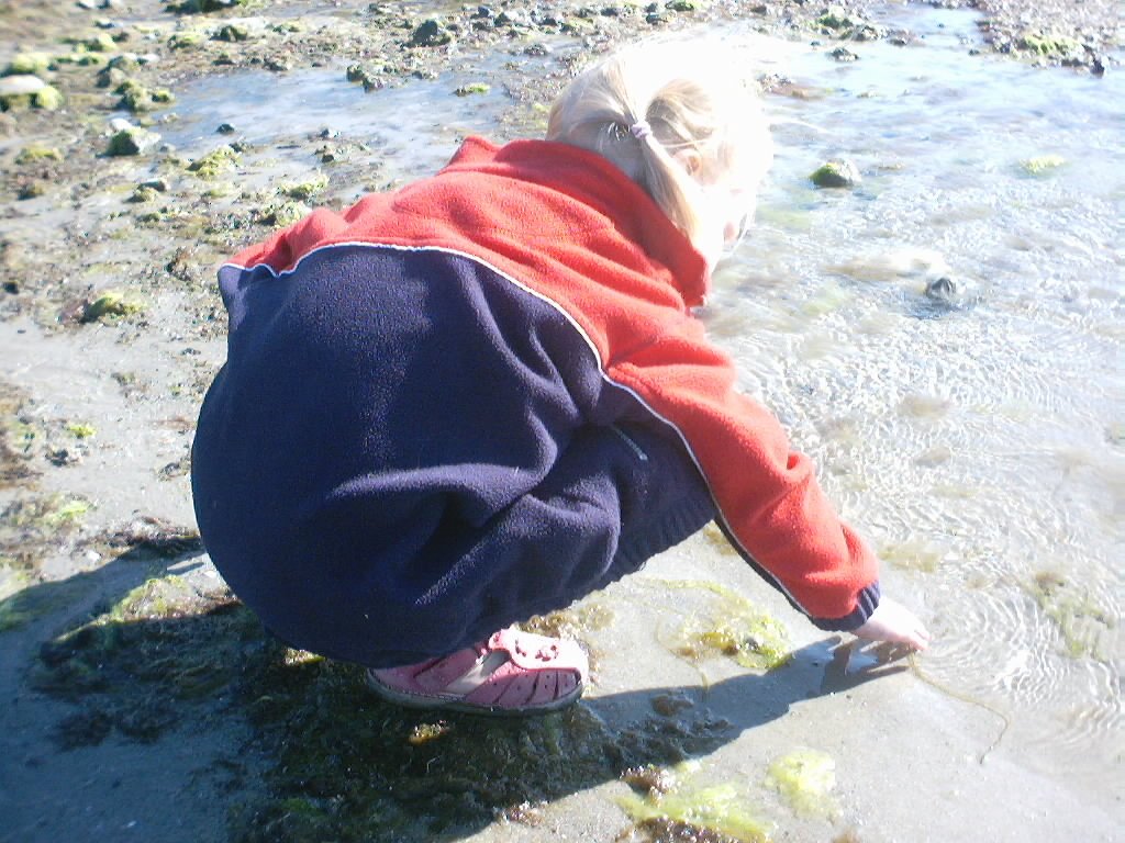 PICT0053