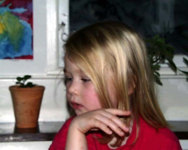 PIC00172
