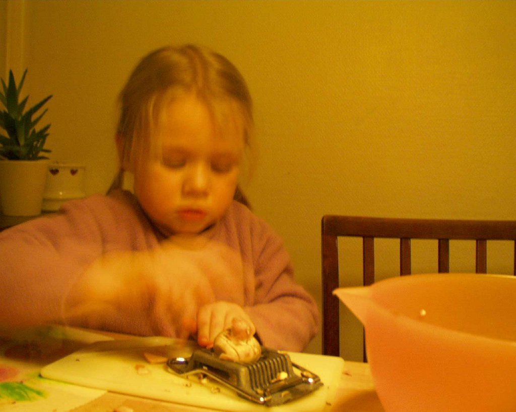 PIC00224