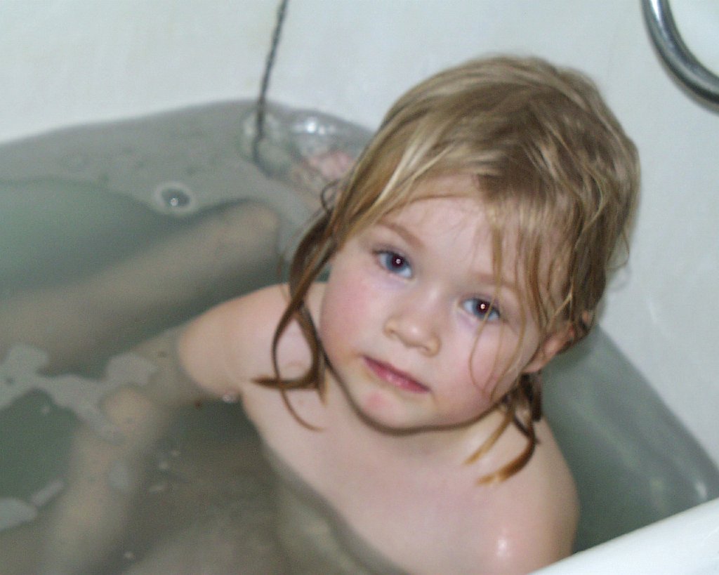 PIC00239