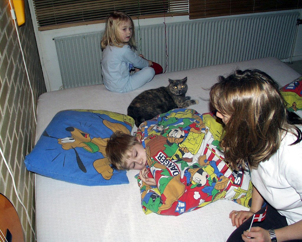PIC00248