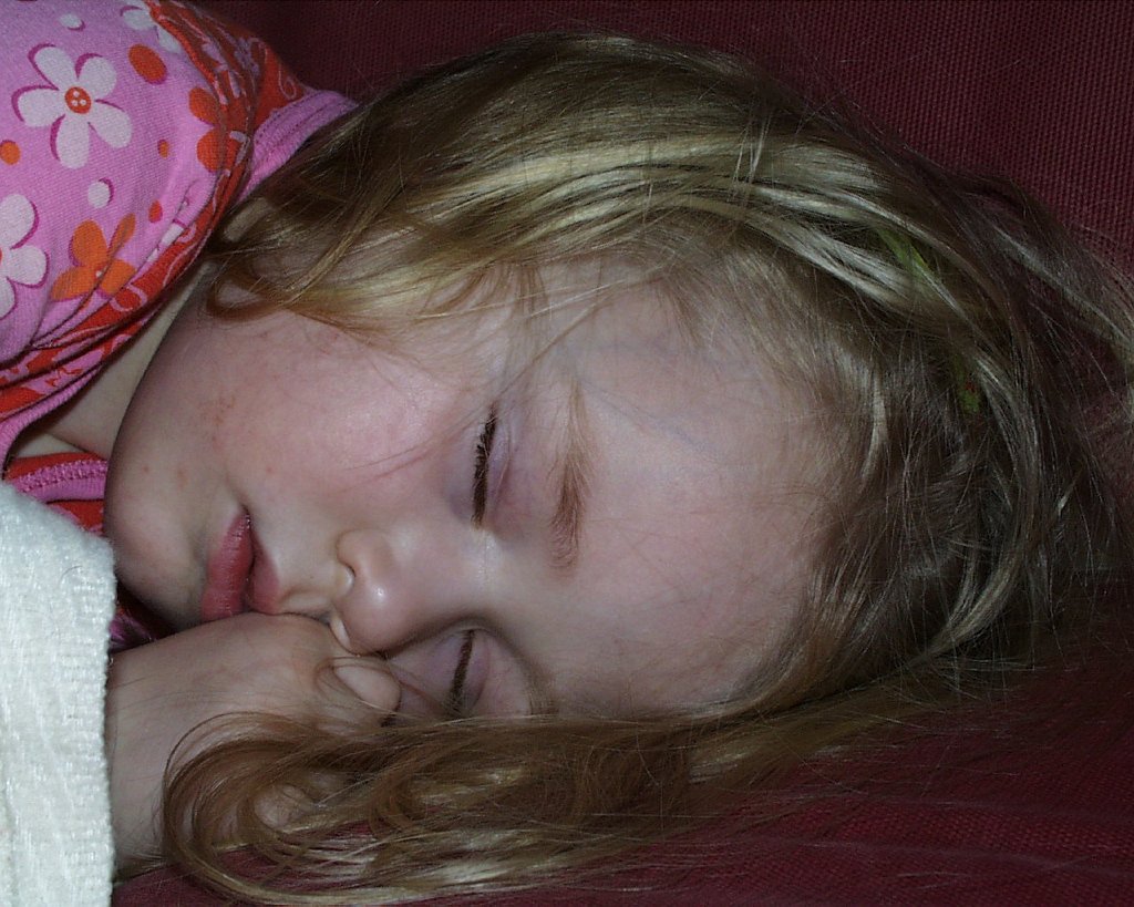 PIC00013