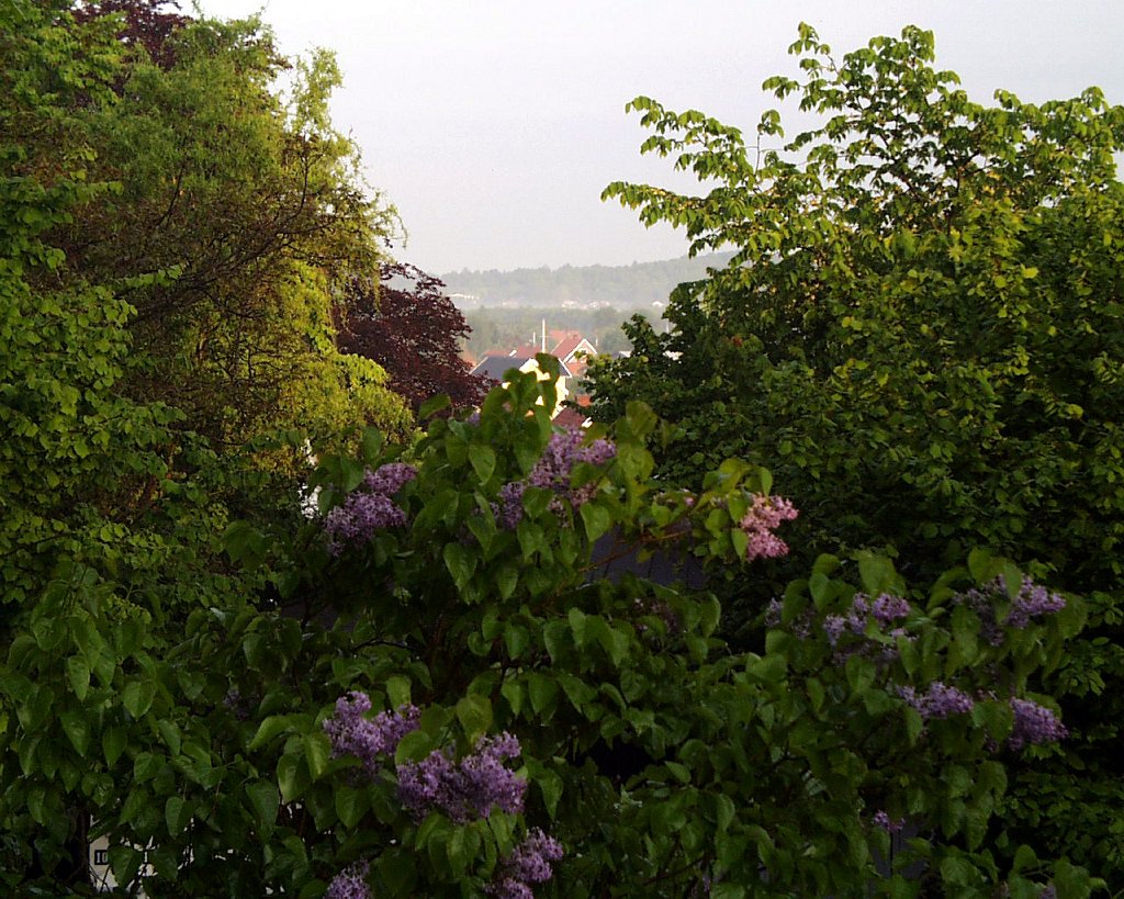 PIC00007