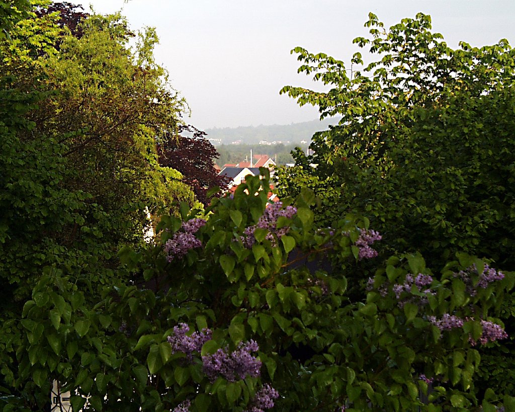 PIC00014