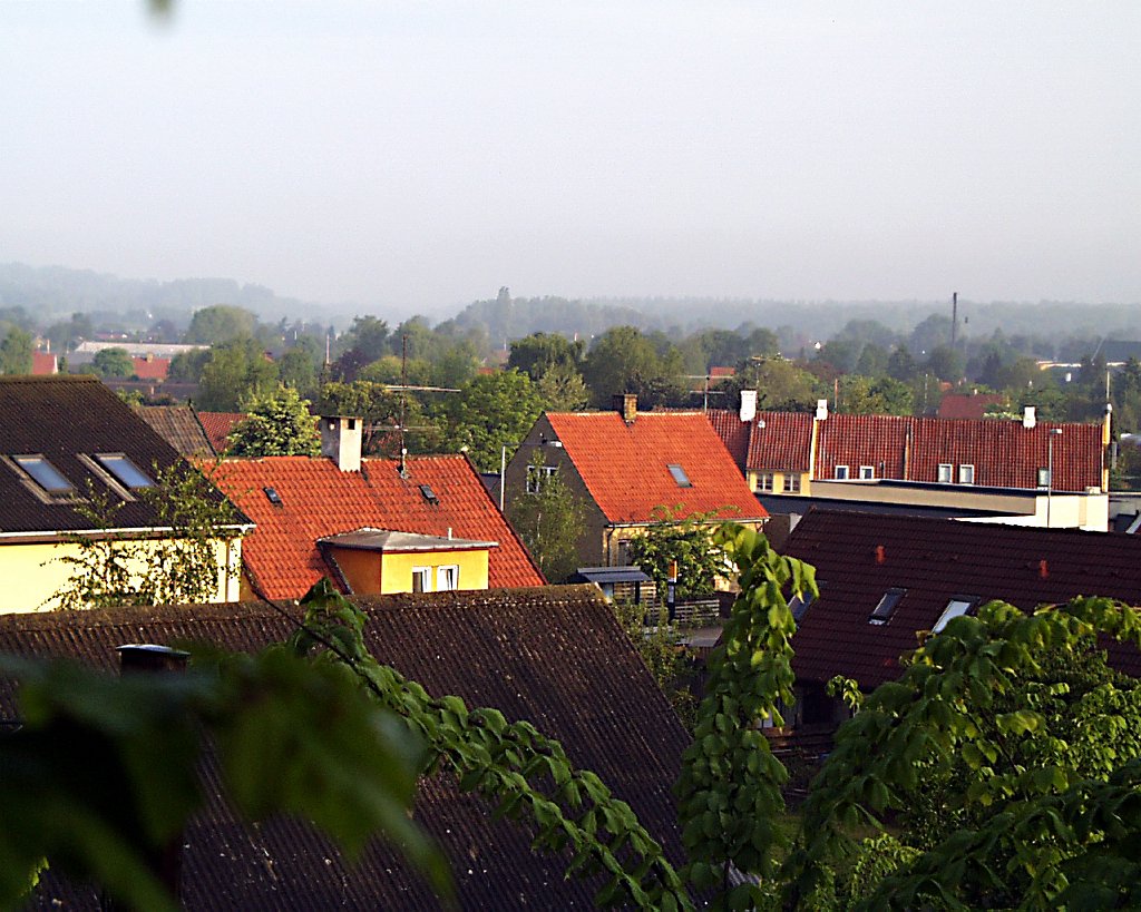 PIC00015