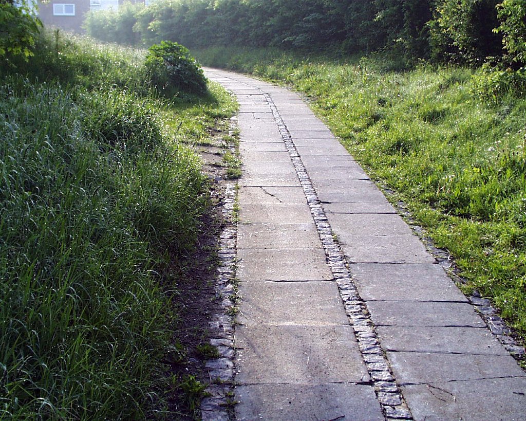 PIC00018