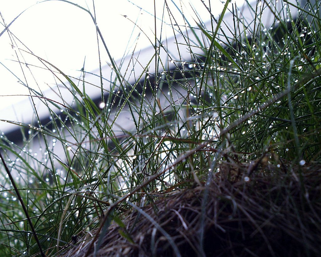 PIC00026