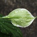 PIC00005