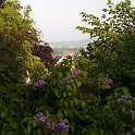 PIC00014