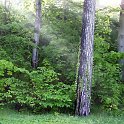 PIC00024