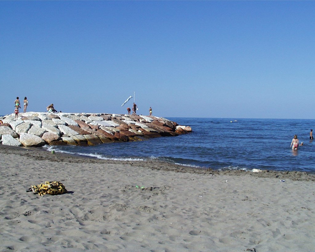 PIC00028