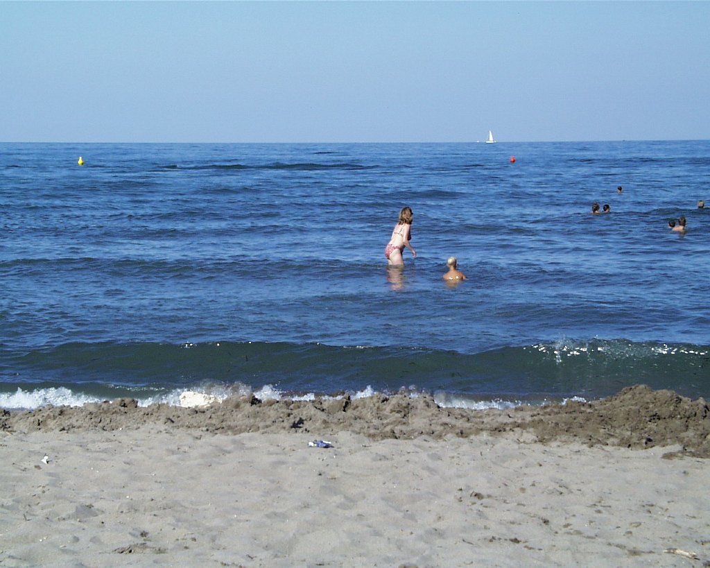 PIC00029
