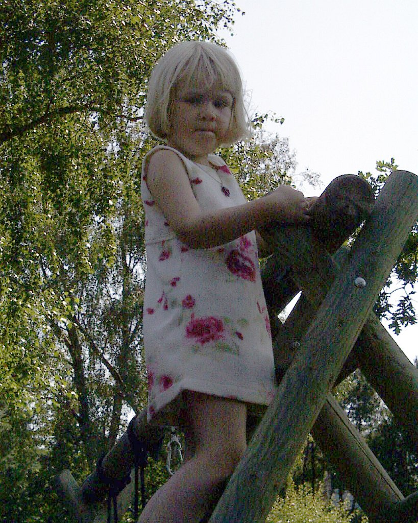 PIC00071