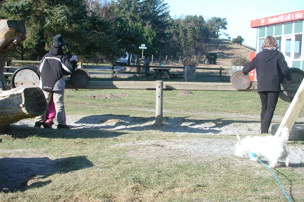 DSCN1494