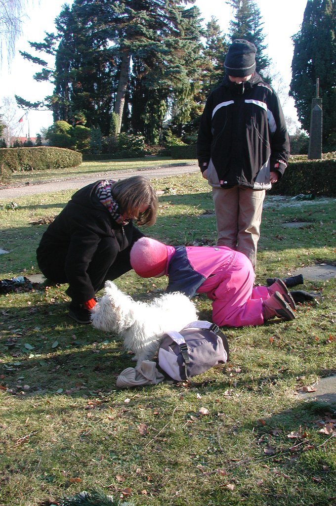 DSCN1520
