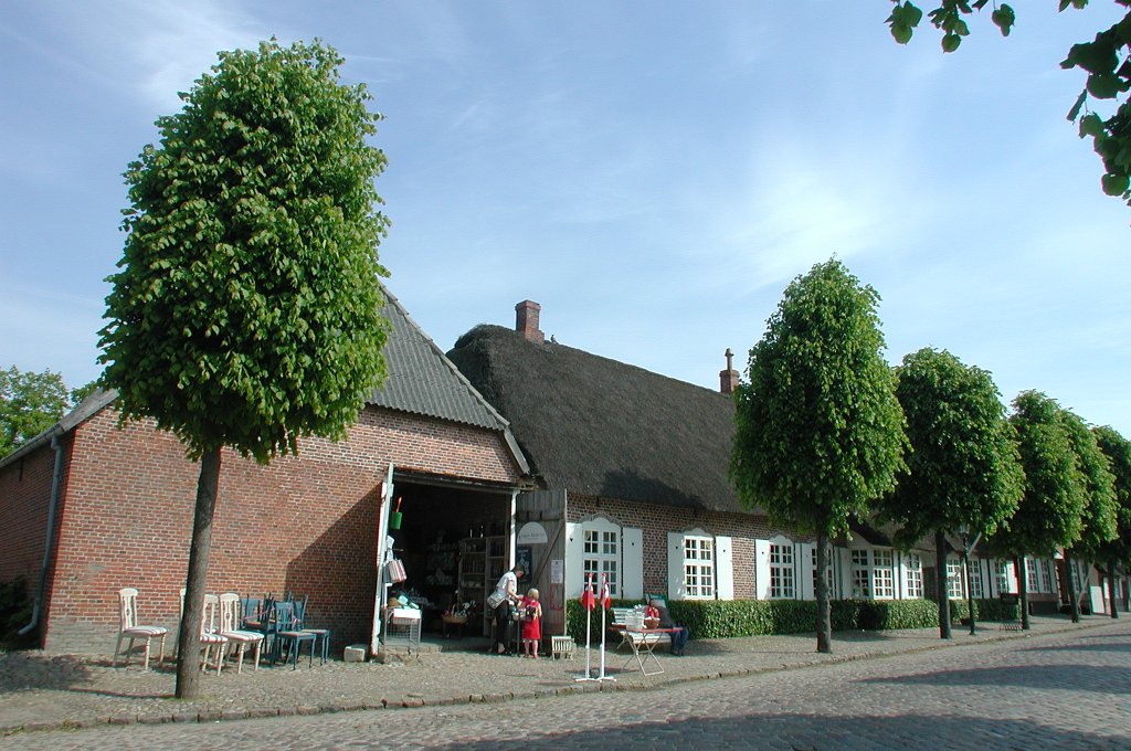 DSCN7049