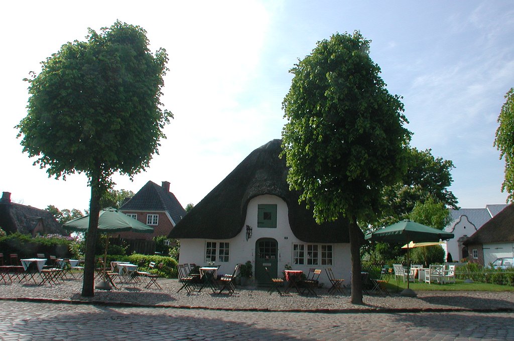 DSCN7058