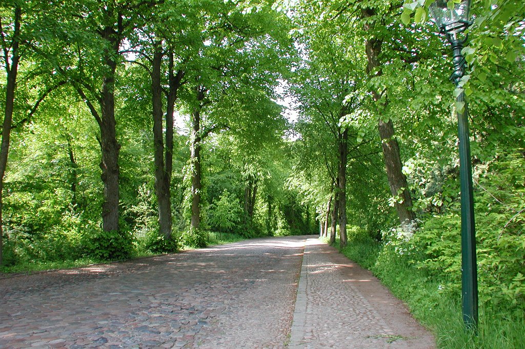 DSCN7063