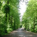 DSCN7076