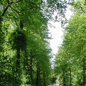 DSCN7077