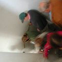 DSCN7138