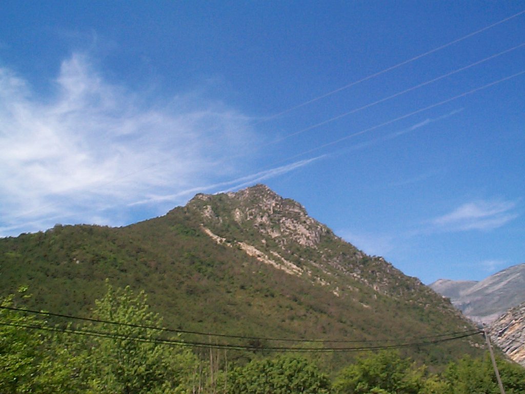 DCP02605