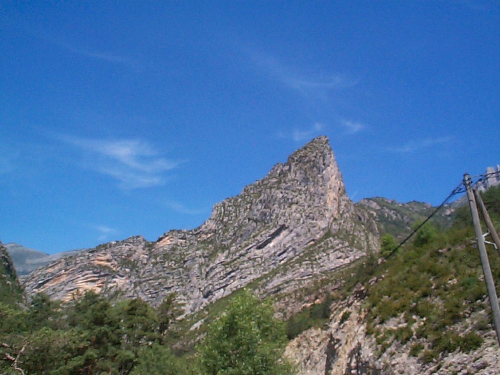 DCP02610