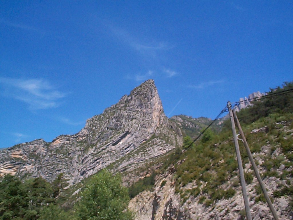 DCP02611