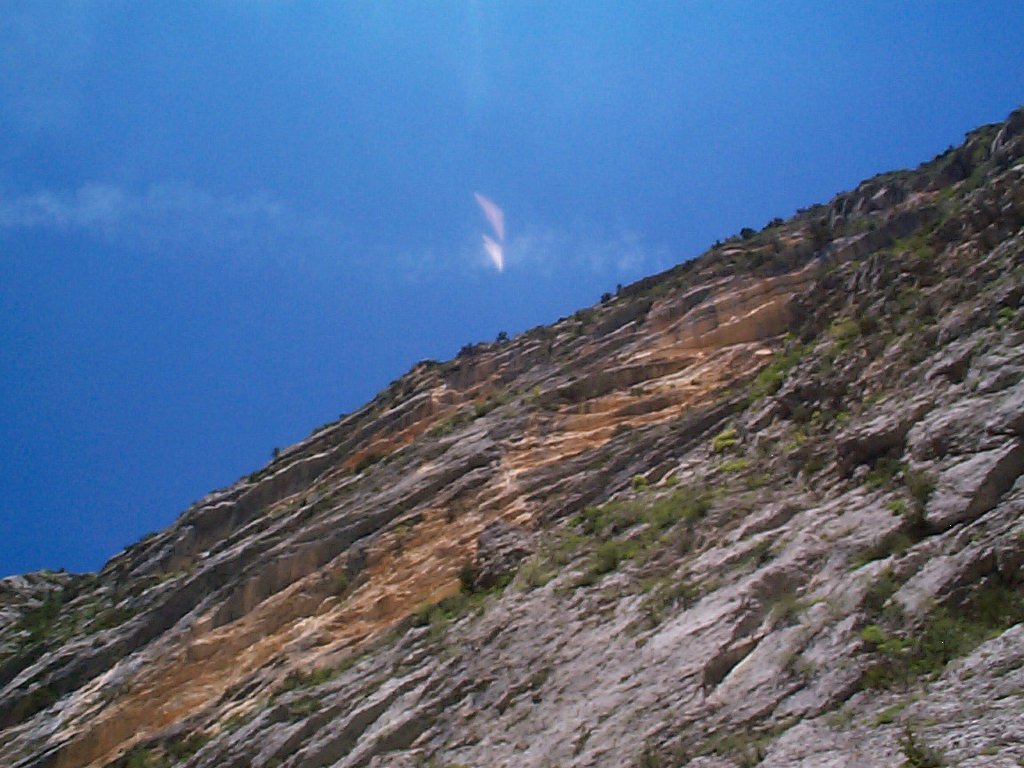 DCP02613