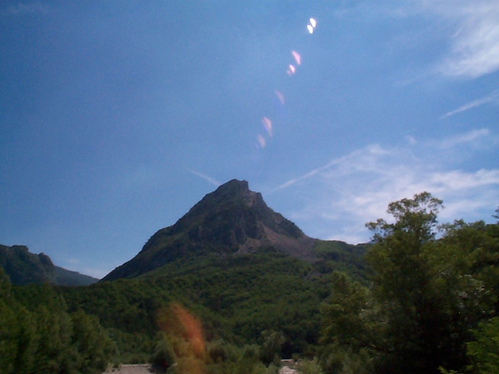 DCP02615