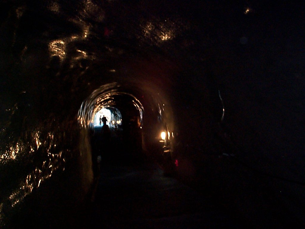 DCP02658