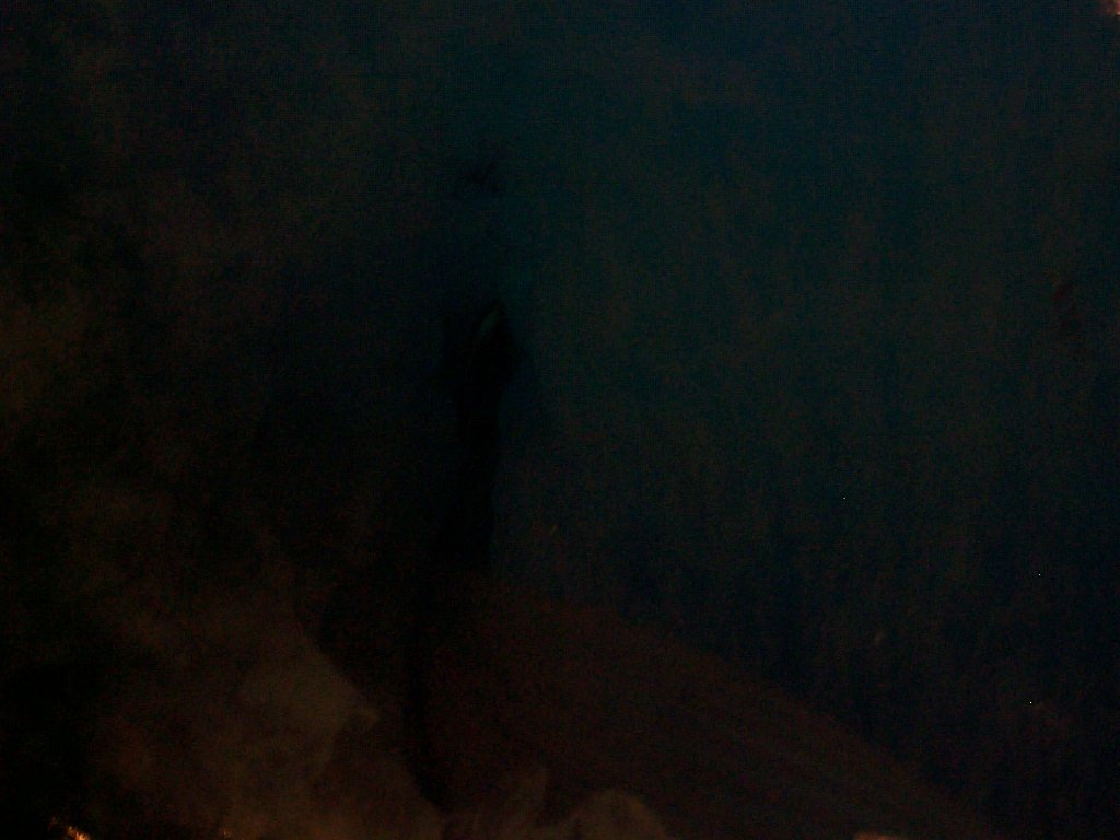DCP02660