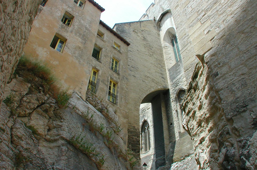 DSCN7276