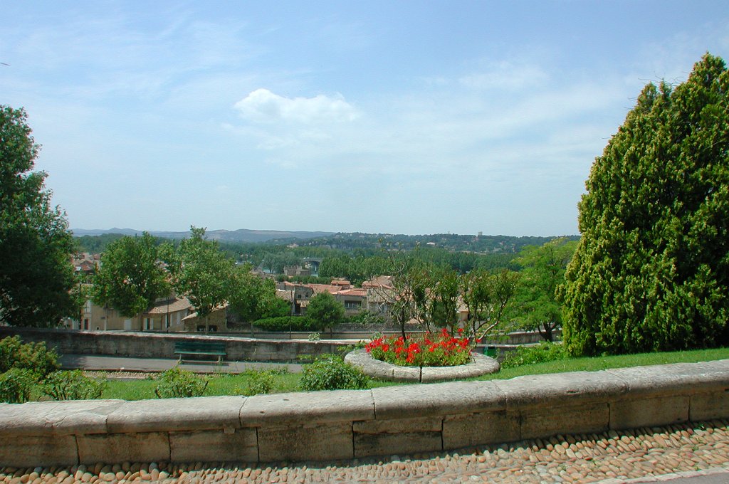 DSCN7280