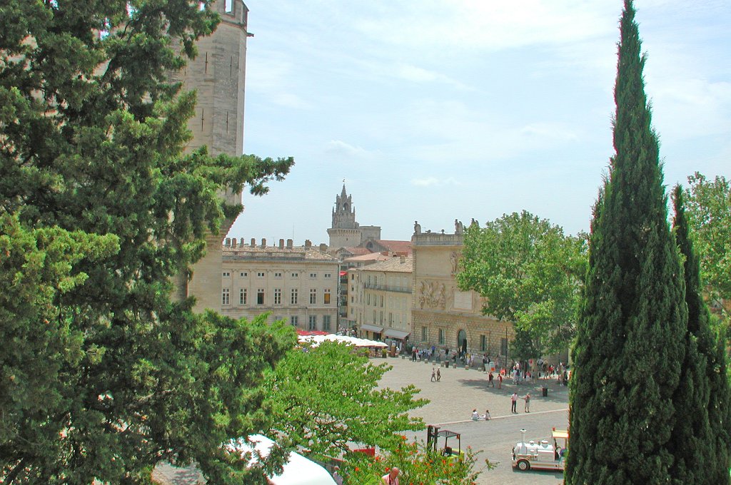 DSCN7287