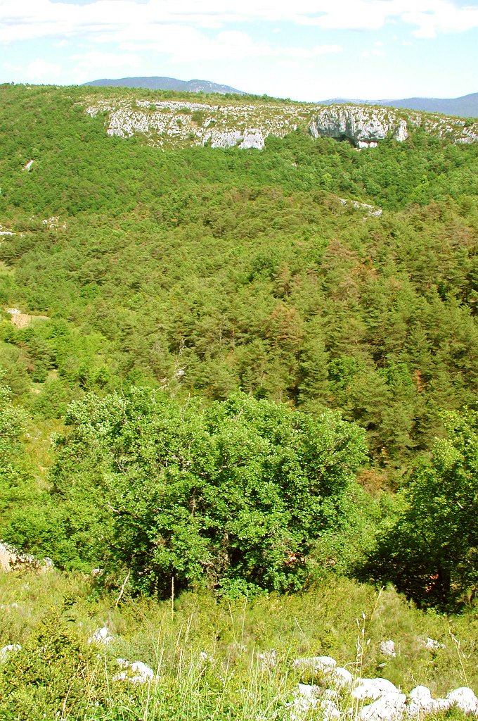 DSCN7324