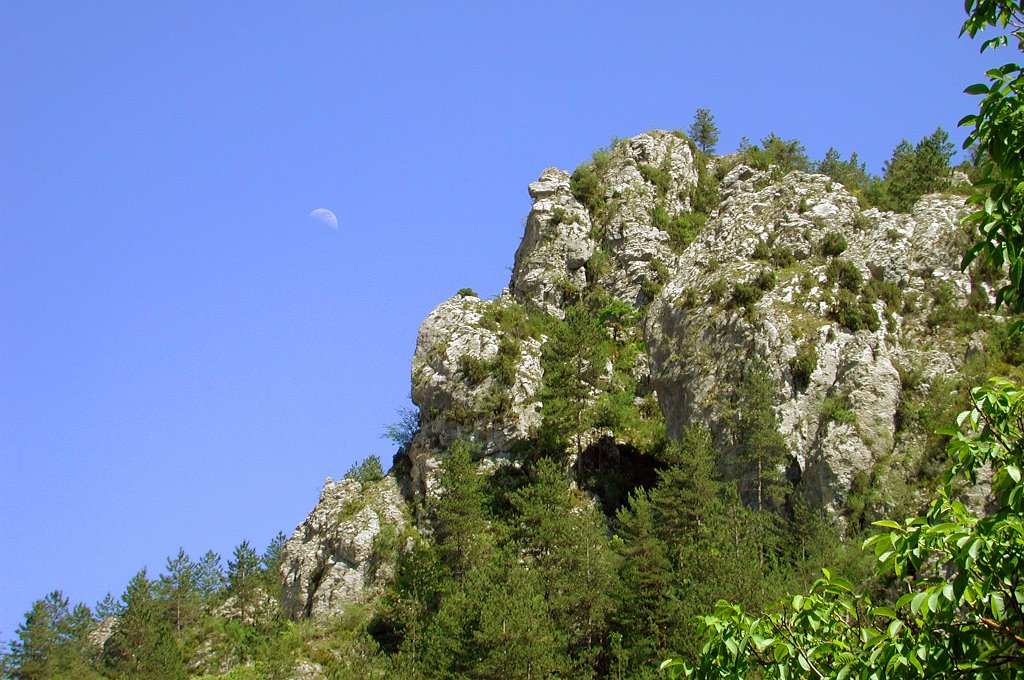 DSCN7359