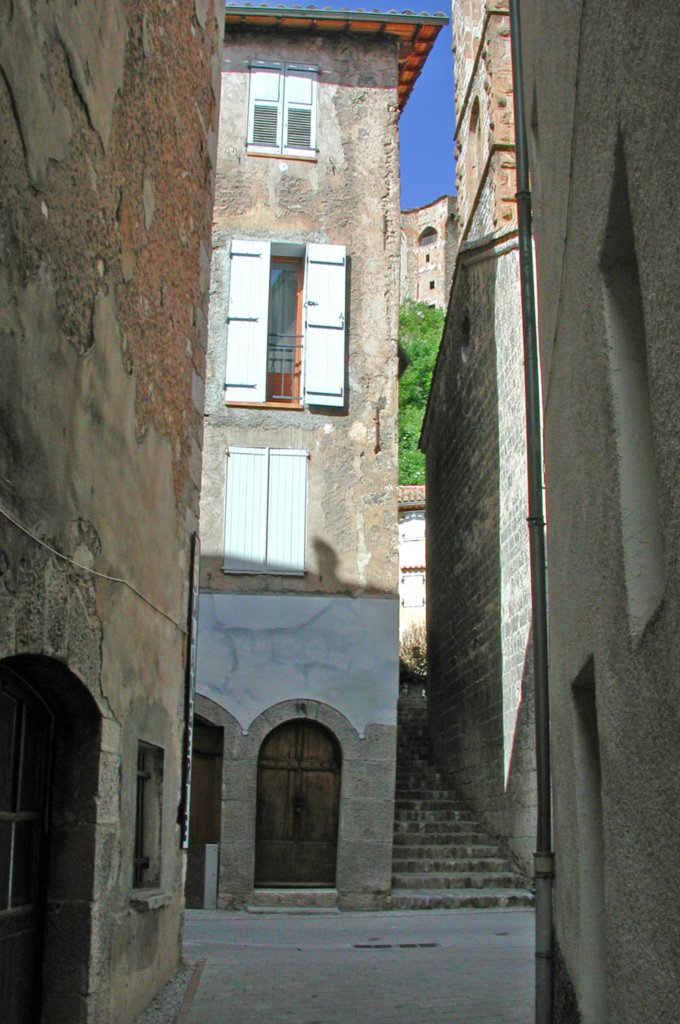 DSCN7365