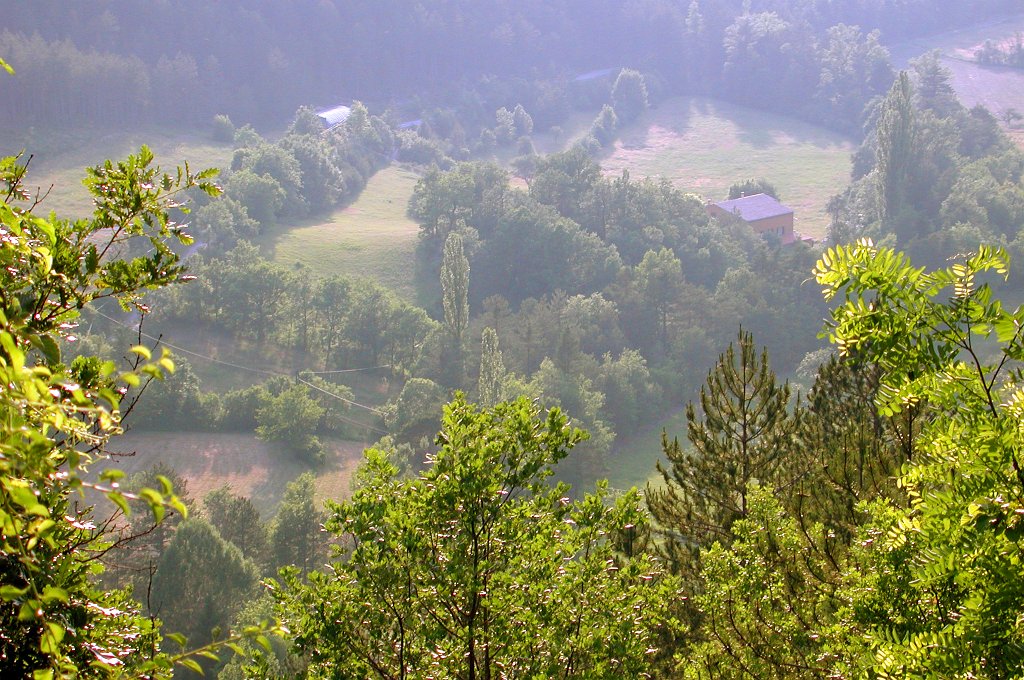 DSCN7390