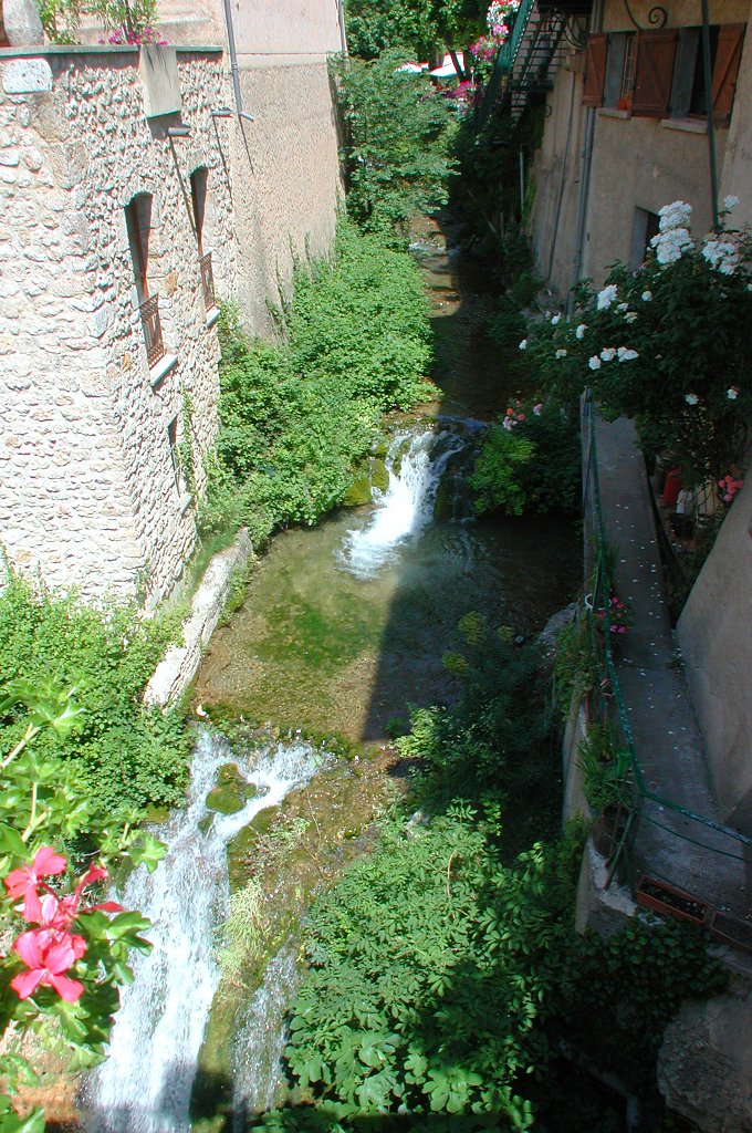 DSCN7426