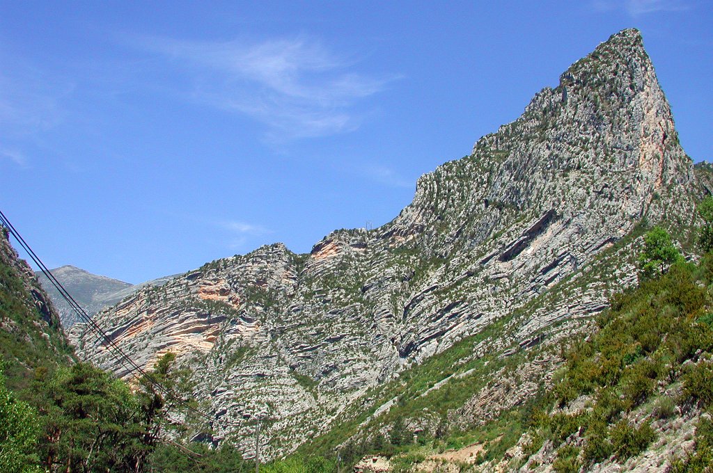 DSCN7404