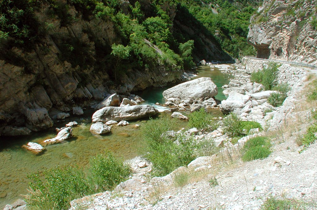 DSCN7406