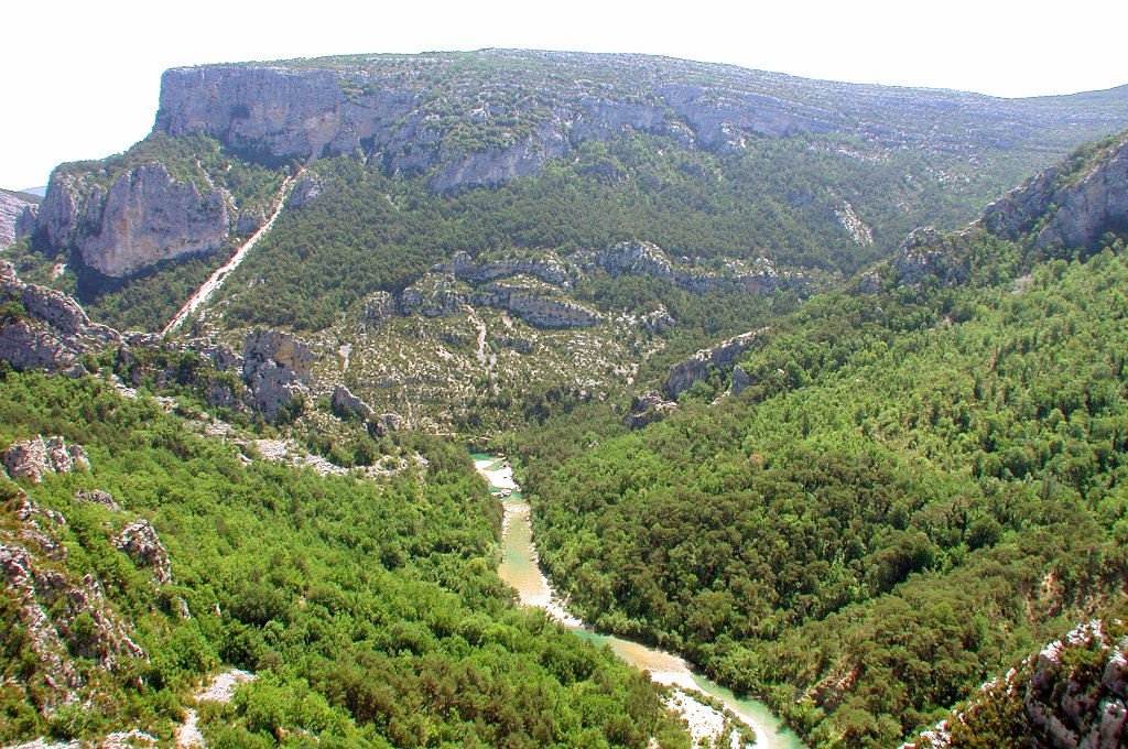 DSCN7422