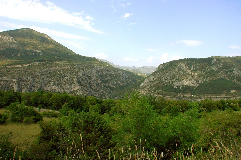 DSCN7461