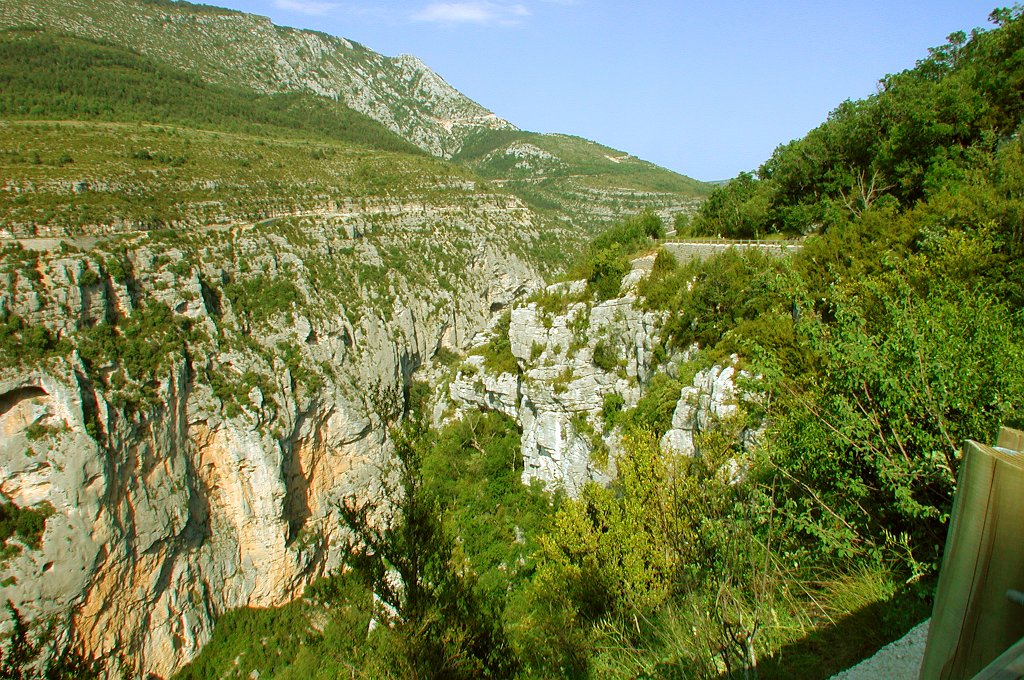 DSCN7462