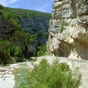 DSCN7411